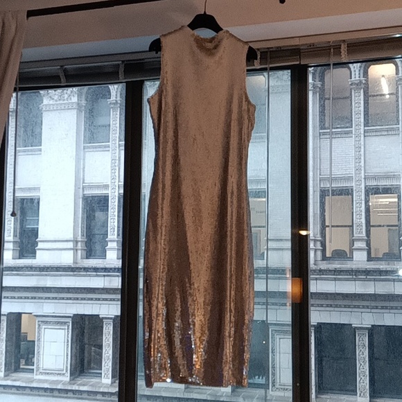 NWT Never Worn Sleeveless Silver Sequin Cocktail Cress! - Picture 10 of 15